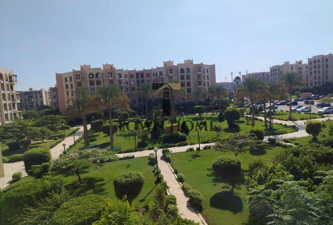 8215281 - Property Image 2