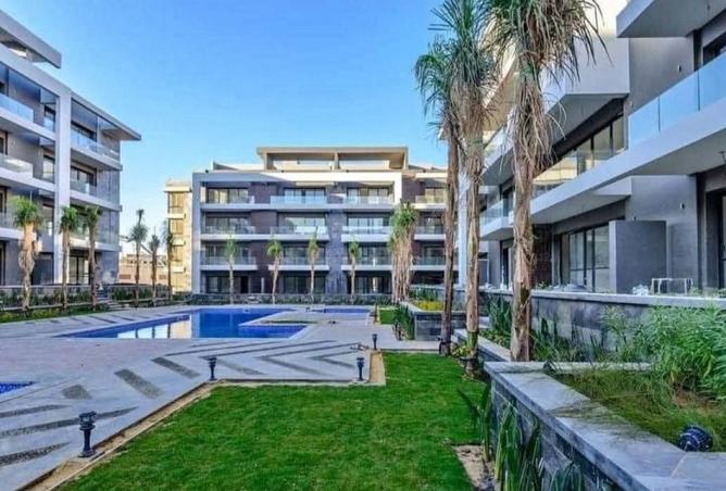 8204281 - Property Image 3