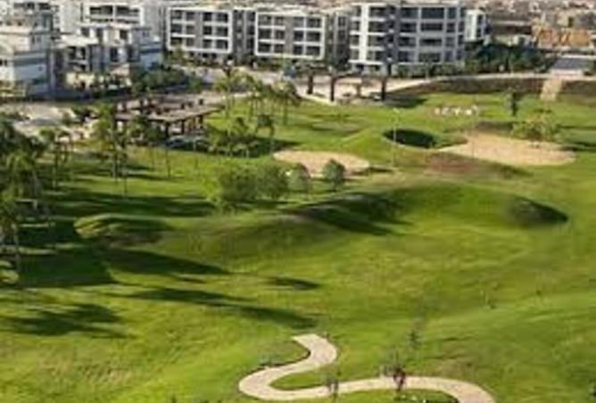 8398444 - Property Image 3