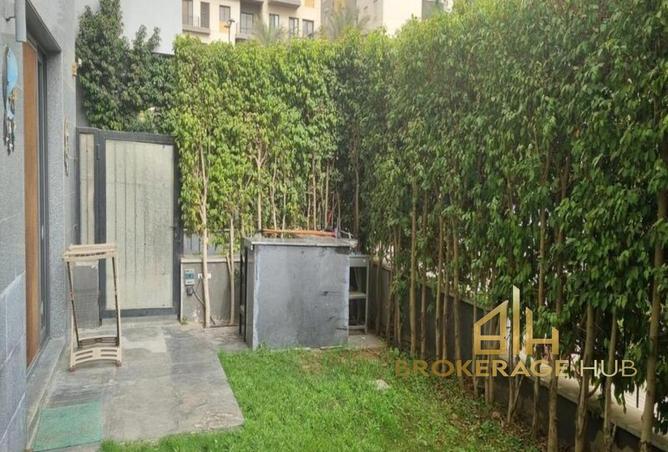 8156586 - Property Image 3