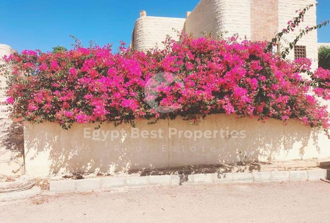 7898592 - صورة العقار 2