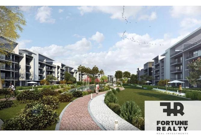 8338890 - Property Image 3