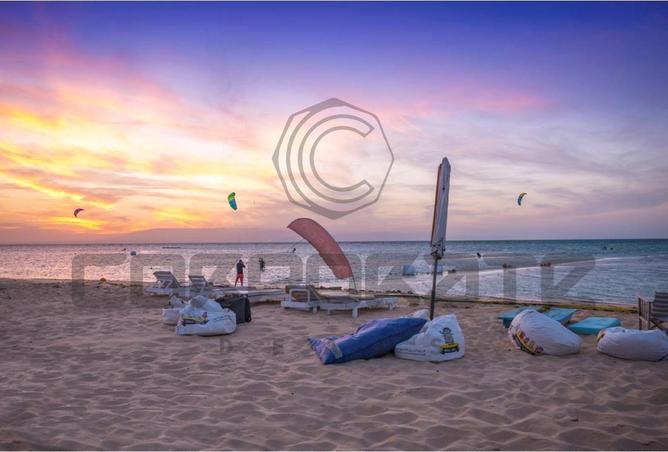 8252967 - Property Image 3