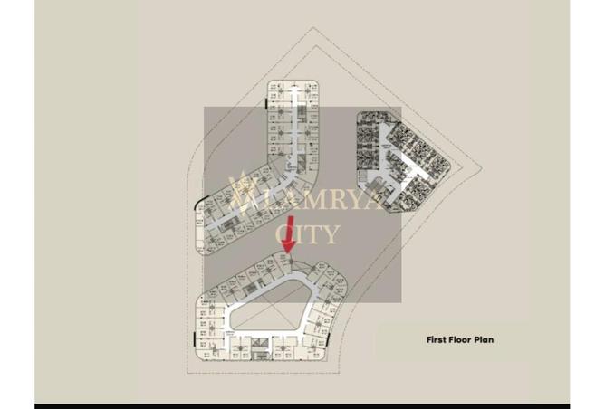 8536573 - Property Image 3