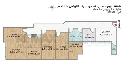 Office Space - Studio - 3 Bathrooms for rent in Smouha - Hay Sharq - Alexandria