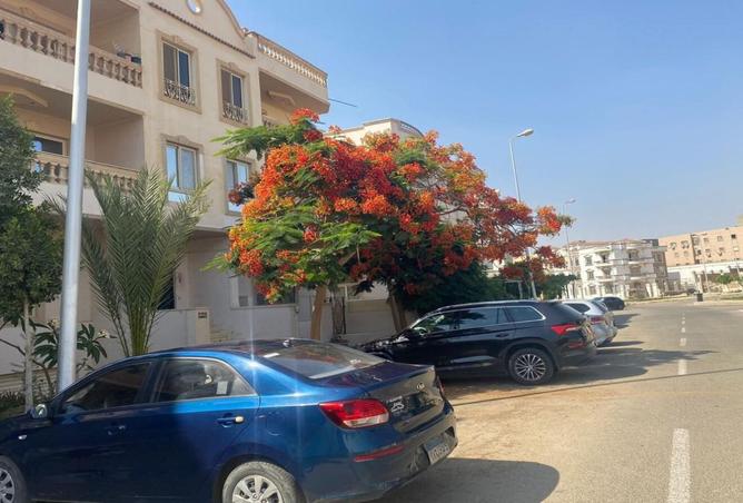 8221952 - Property Image 3