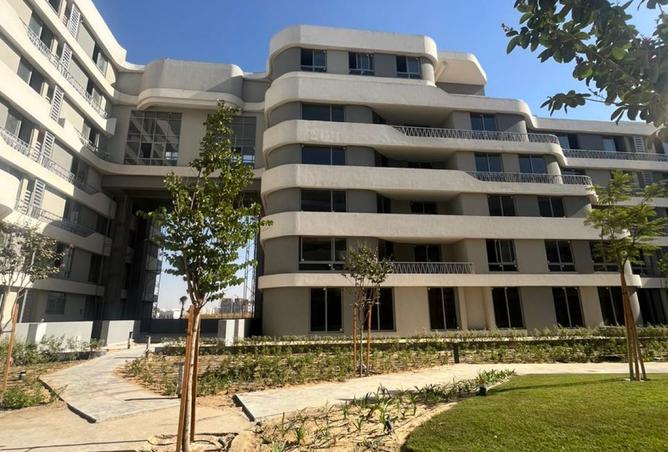 8396550 - Property Image 3