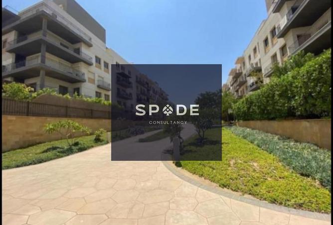 8504848 - Property Image 3