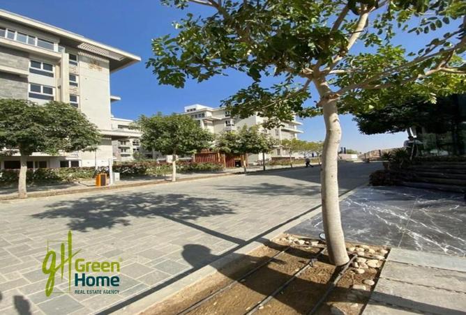 8353581 - Property Image 2