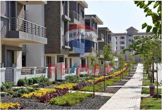 7974603 - صورة العقار 3