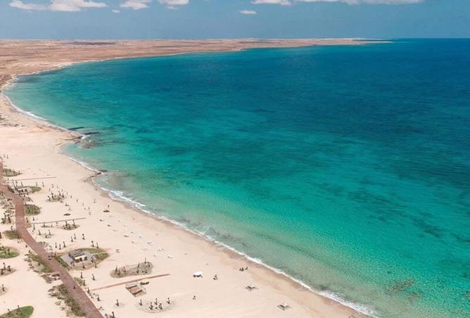 8364537 - صورة العقار 3