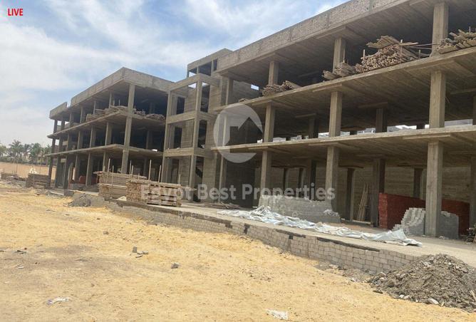 7994591 - Property Image 2