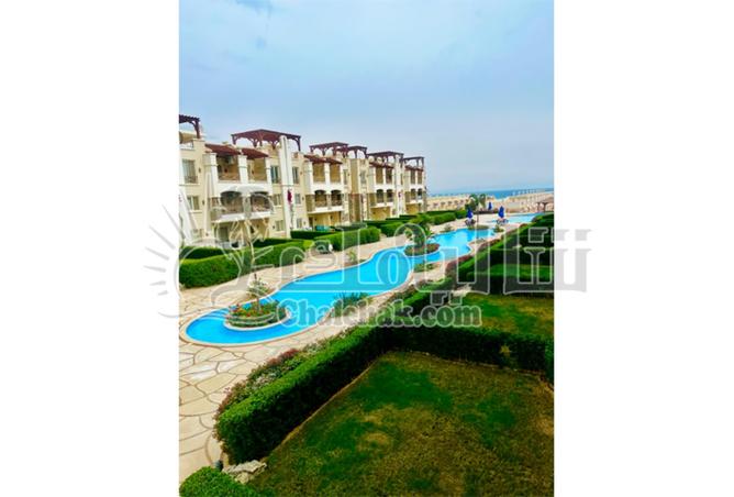 8279638 - Property Image 2