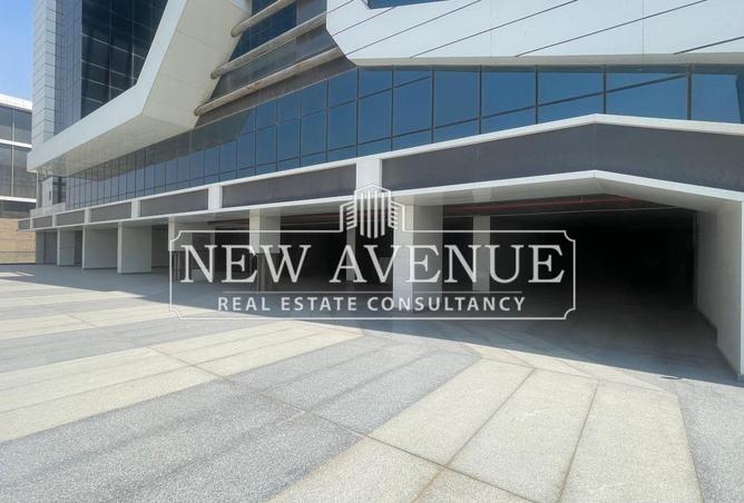 8439803 - Property Image 2