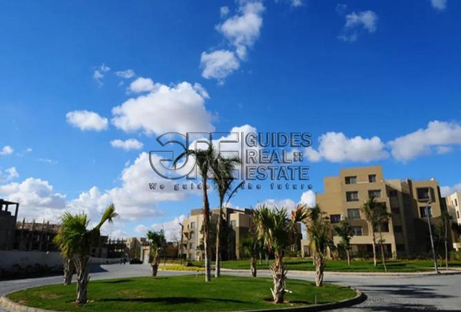 8011454 - Property Image 3