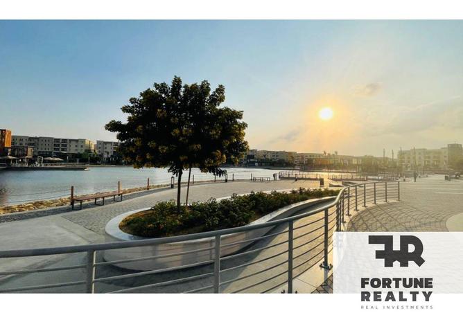 8381184 - Property Image 3