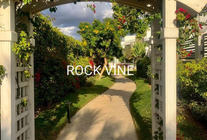 8433768 - صورة العقار 3