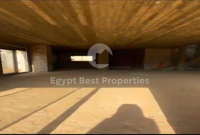 8202573 - صورة العقار 3