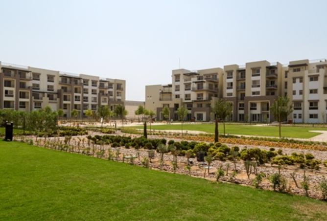 8179778 - صورة العقار 2