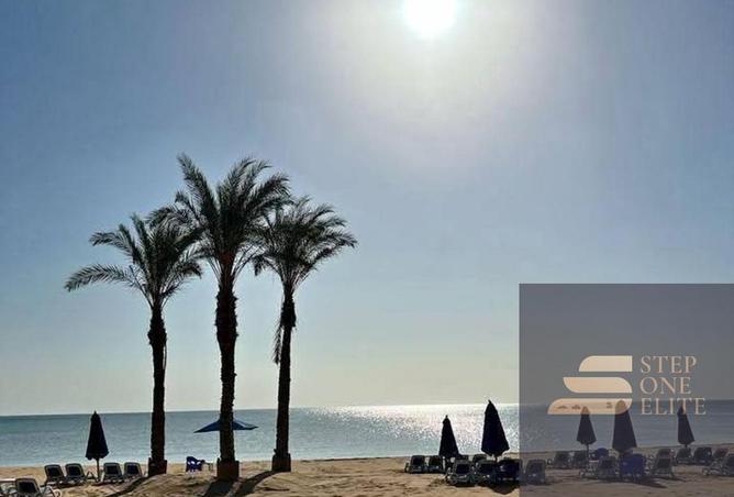 8478798 - Property Image 3