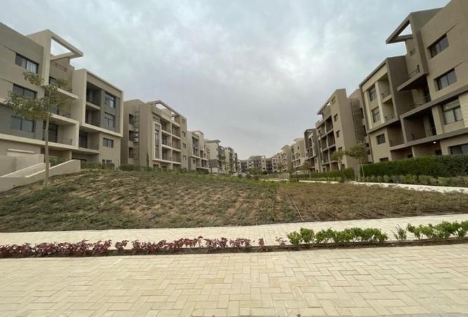7918786 - Property Image 3