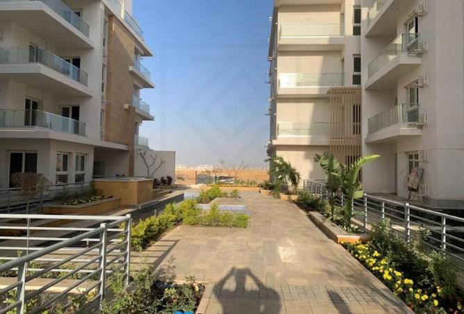 8245034 - Property Image 3