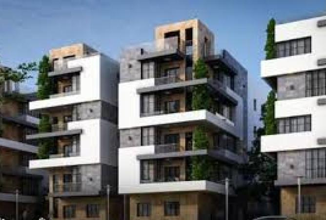 8441296 - Property Image 3