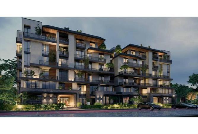 8271076 - Property Image 3