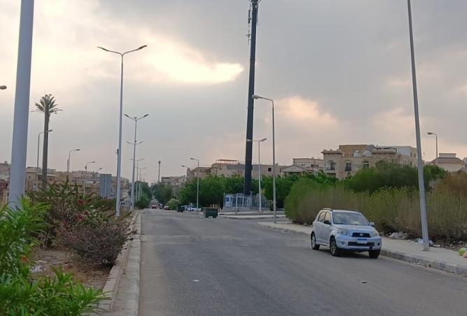 7889273 - Property Image 3