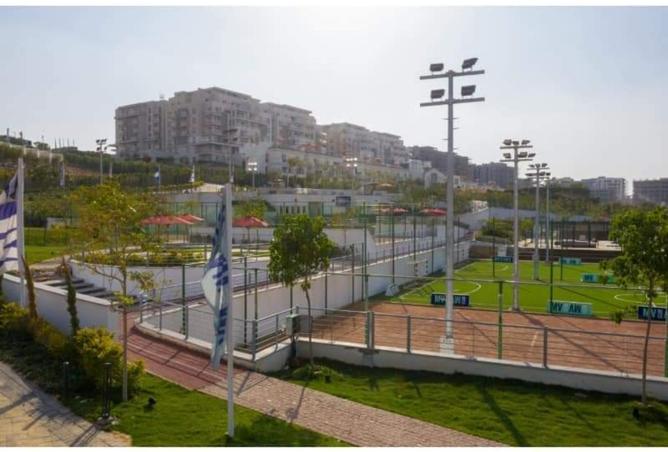 8398754 - Property Image 2