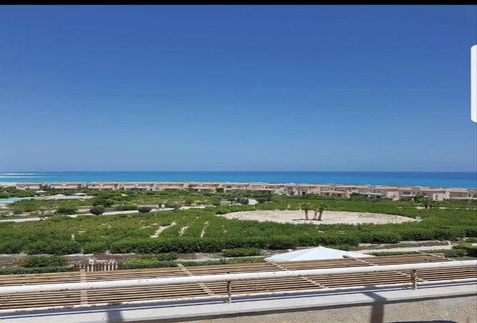 7970603 - الصورة الرئيسية للعقار