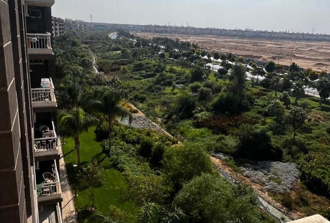 8023615 - الصورة الرئيسية للعقار