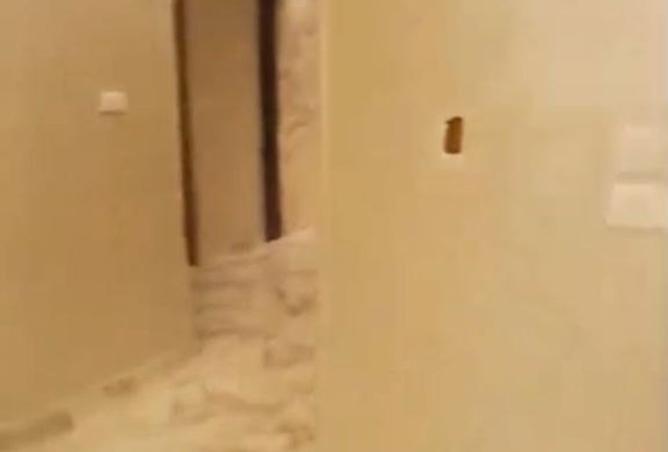 8140604 - Property Image 3