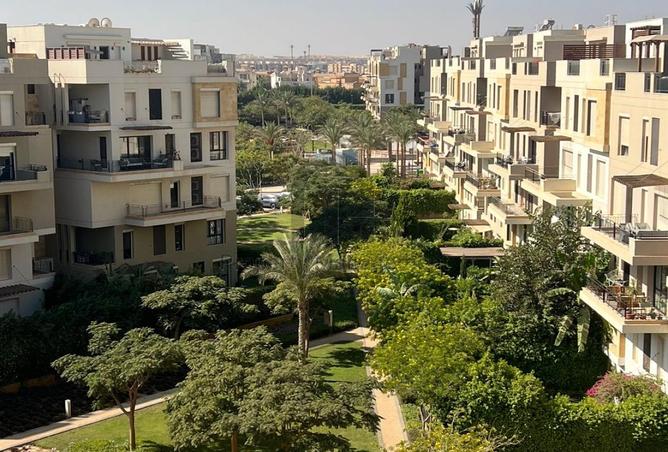 8112848 - صورة العقار 3