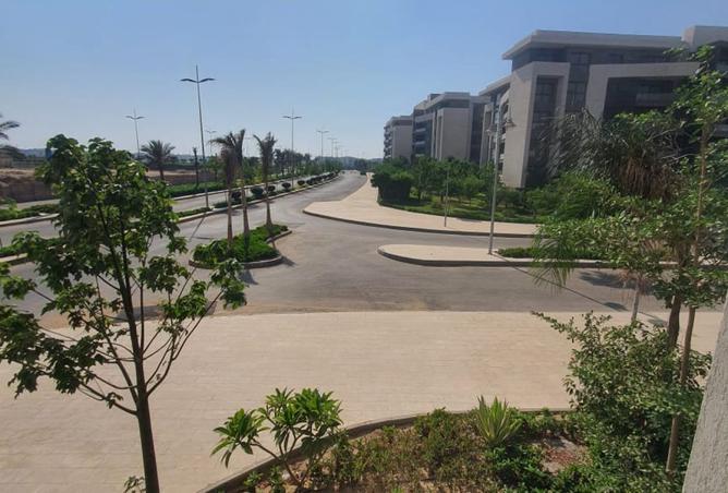 8205025 - الصورة الرئيسية للعقار