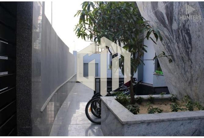 8056223 - Property Image 3