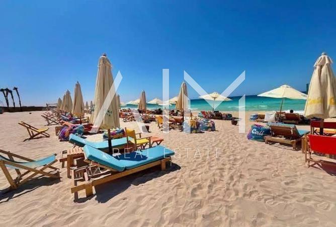 8440400 - Property Image 3