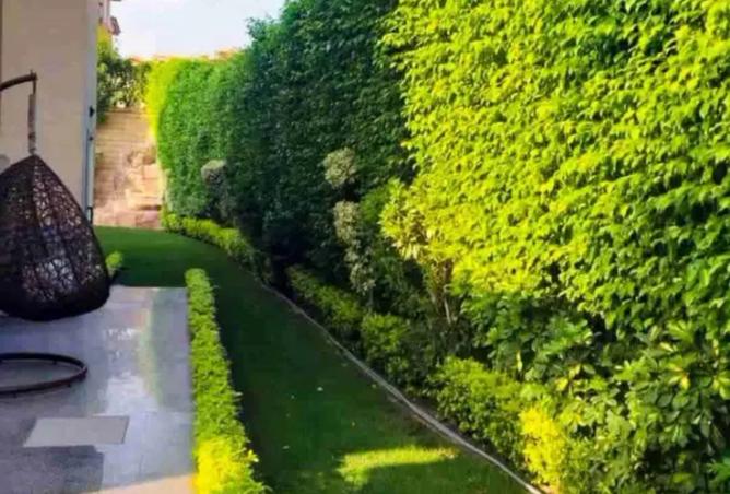 8204996 - Property Image 3