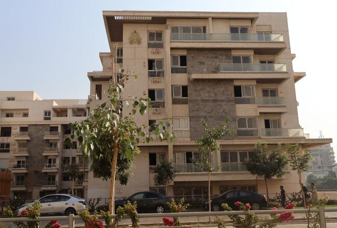 8307384 - صورة العقار 2