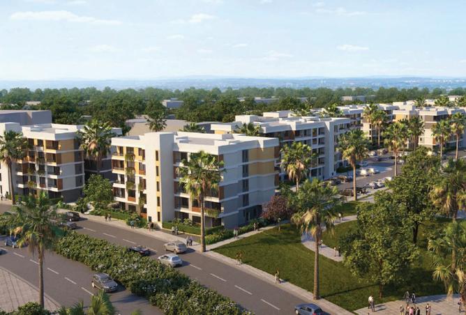 8232557 - Property Image 3