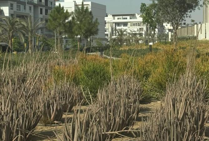 8484329 - صورة العقار 3