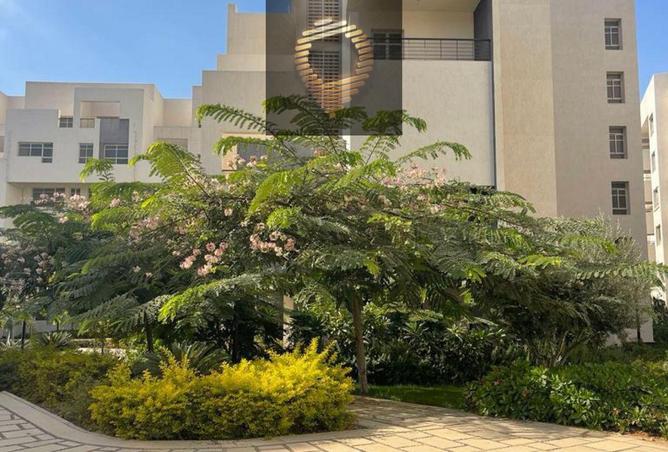 8073577 - صورة العقار 3