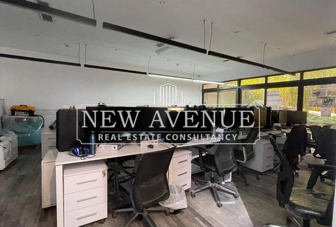 8135892 - Property Image 3