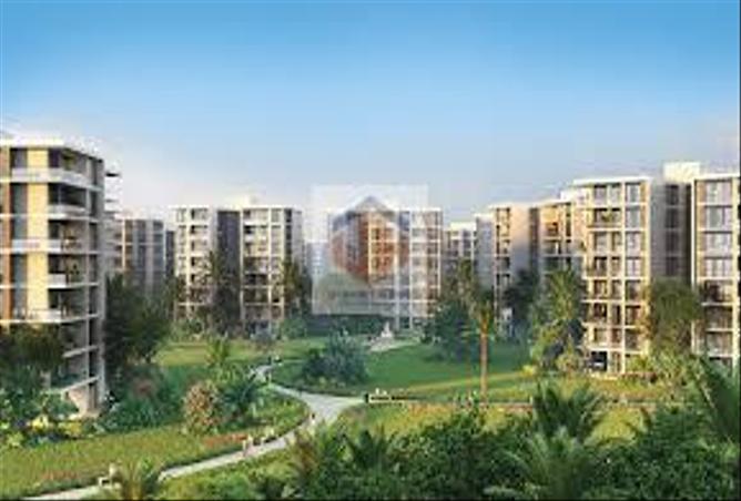 7987994 - Property Image 3