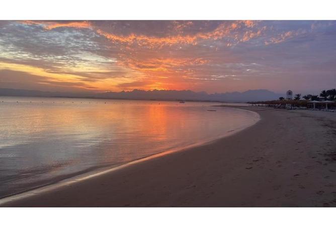 8435025 - Property Image 3