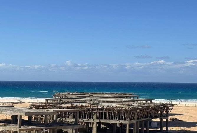 7900495 - صورة العقار 2