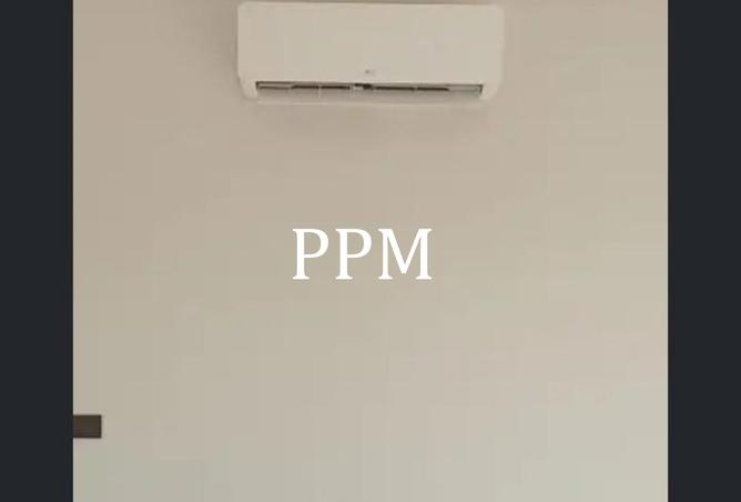 8251021 - Property Image 3