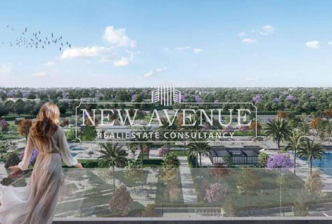 8465294 - Property Image 3