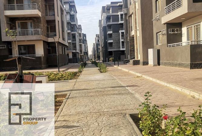 8258076 - Property Image 3