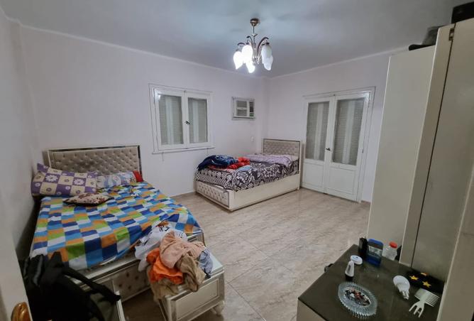 8183309 - Property Image 3